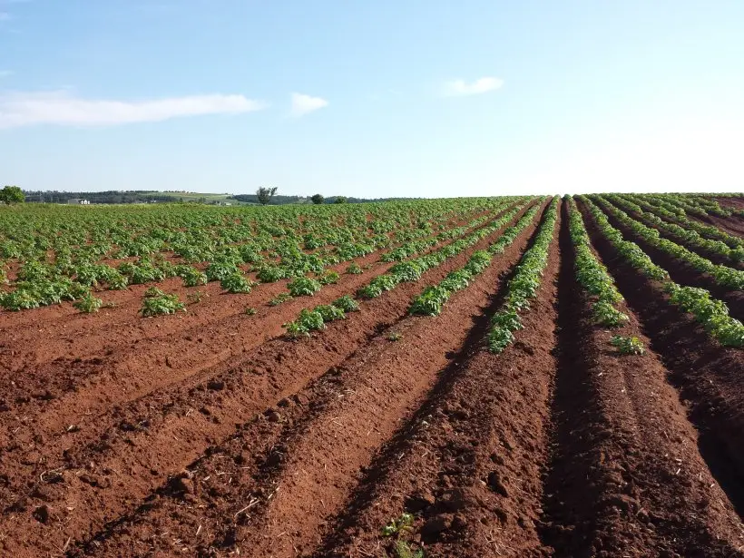 Agricultural Science - Mozano Senior High School